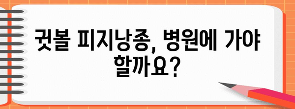 귓볼 피지낭종 제거 | 증상, 방법 및 예방