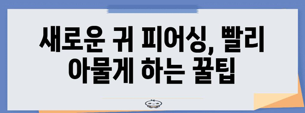 귀 피어싱 후 관리와 감염 예방 가이드 | 건강하고 깨끗한 피어싱 유지