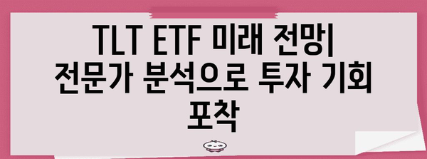 TLT ETF | 미래 전망 분석으로 안전하게 투자하세요