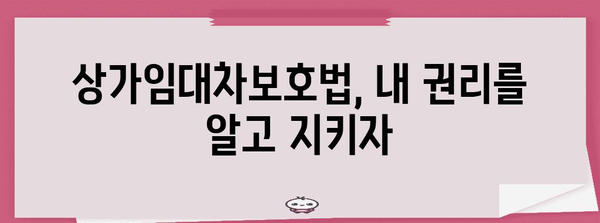 상가건물 임대차보호법 완벽 가이드| 권리 찾고 피해 예방하기 | 상가임대차, 계약, 분쟁, 해지, 보증금