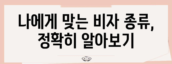 미국 비자 성공 신청 가이드 | 충실한 정보로 꿈 이루기