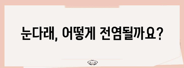 눈다래 빠른 해결책 | 초기 증상과 전염 원인 파악