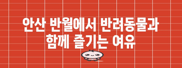 안산 반월의 대형 반려동물 동반 카페 | 애견과 함께 편안한 휴식 시간