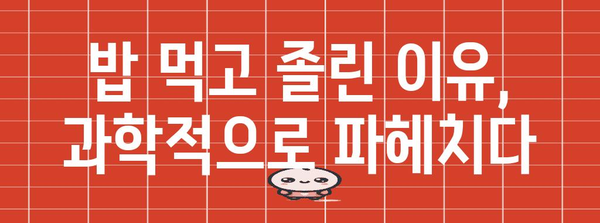 졸림의 원인 밝히기 | 밥 먹고 졸리는 진실