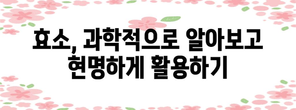 효소 부작용 이해와 안전한 활용법