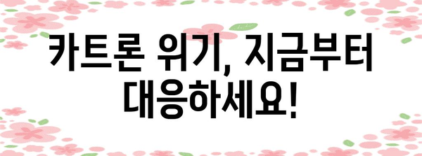 카트론 위기 극복 지침서 | 신용등급 하락 대응 전략