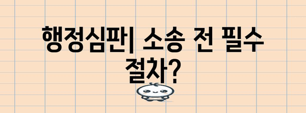 행정소송 절차 완벽 가이드| 핵심 단계별 설명 및 실제 사례 | 행정소송, 행정심판, 소송 절차, 법률 정보