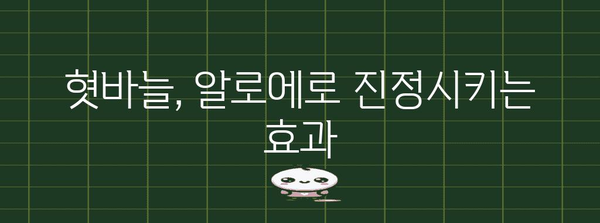 혓바늘 치료에 알로에 활용법 | 이유와 효과