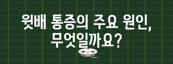 윗배 통증 경시 금지 | 원인, 증상, 치료법