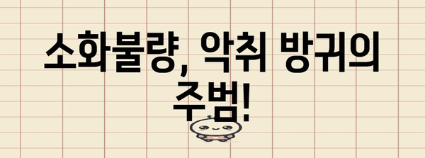 악취 방귀 원인과 치료법 | 소화 건강 개선