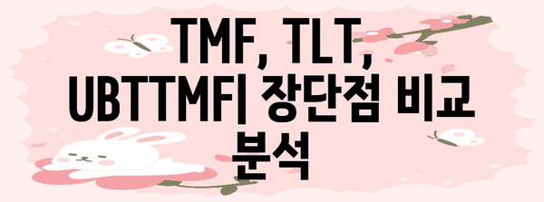 미국 채권 ETF 투자 전략 | TMF, TLT, UBTTMF 비교