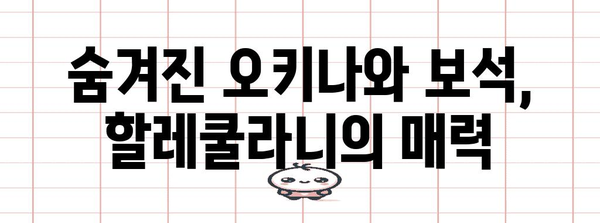 숨겨진 오키나와 보석 | 할레쿨라니 호텔에서 힐링 휴가