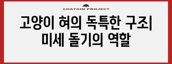 고양이 혀의 비밀 | 놀라운 기능과 과학적 설명