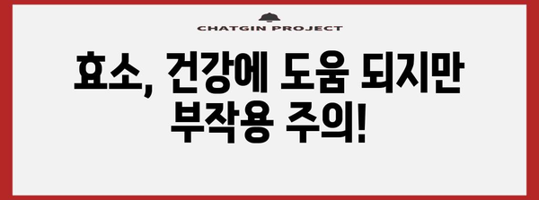 효소 부작용 이해와 안전한 활용법