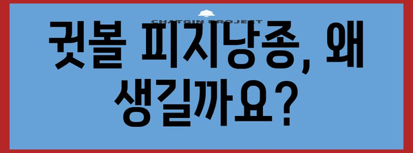 귓볼 피지낭종 제거 | 증상, 방법 및 예방