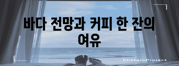 해운대 카페 탐방 | 해변 여행 필수 정보
