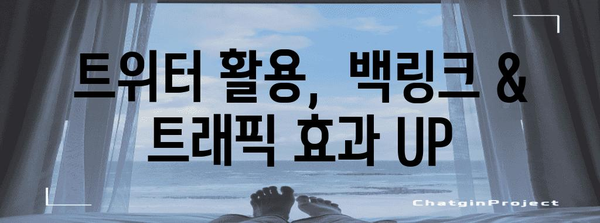 사이트 트래픽 증가 비법 | 트위터 활용 백링크 창출