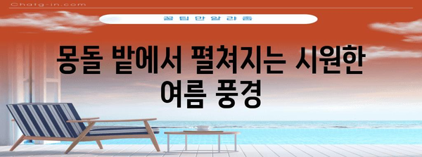 거제 학동 몽돌 해수욕장 가이드 | 시원한 여름과 즐길 거리