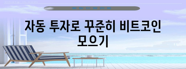 비트코인 자동 적립식 투자의 비법