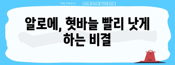 혓바늘 치료에 알로에 활용법 | 이유와 효과