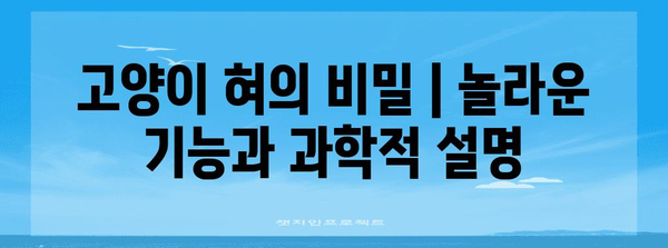 고양이 혀의 비밀 | 놀라운 기능과 과학적 설명