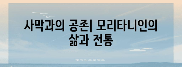 모리타니 역사| 고대 문명부터 현대까지 | 아프리카, 사하라 사막, 정치, 문화, 사회