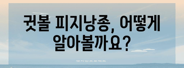귓볼 피지낭종 제거 | 증상, 방법 및 예방