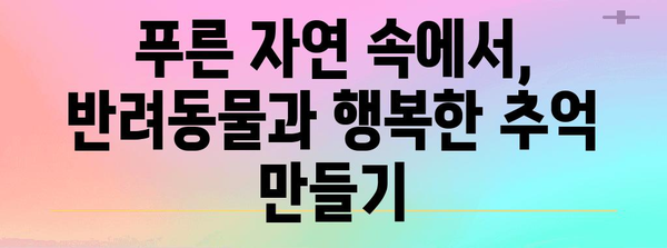 아산 퍼스트스테이 | 애견과 함께하는 잊지 못할 숙박