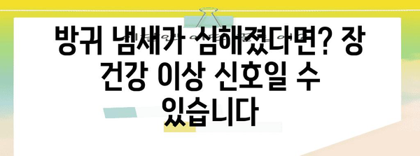 독성 방귀 | 장 건강 이상의 경고 신호 파악하기
