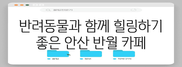 안산 반월의 대형 반려동물 동반 카페 | 애견과 함께 편안한 휴식 시간