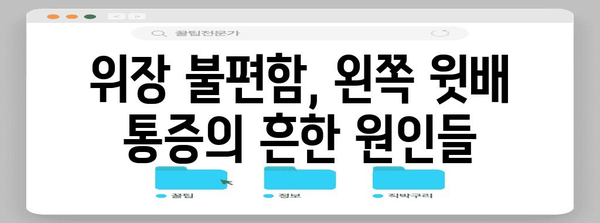 위장 디скомфорт | 왼쪽 윗배 통증의 원인