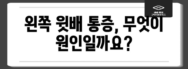 위장 디скомфорт | 왼쪽 윗배 통증의 원인