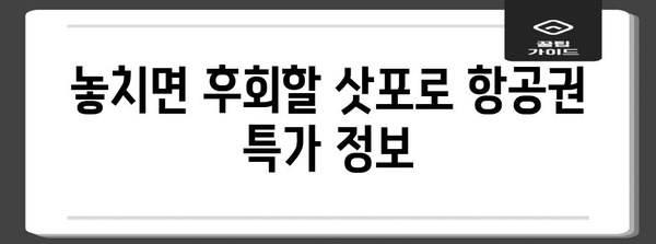 삿포로 저렴 항공권 꿀팁 | 13만 원 왕복 여행 방법
