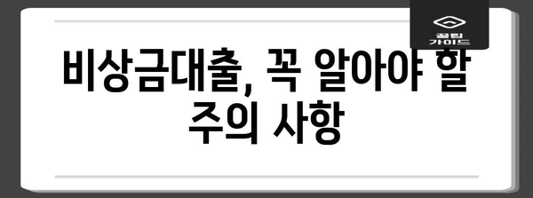 카카오뱅크 비상금대출 신청 가이드 | 알아두어야 할 모든 것