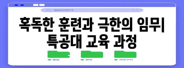 해양경찰 특공대 선발 가이드 | 교육 과정·지원 방안 총정리