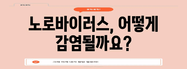 노로바이러스 초기 증상과 예방 조치