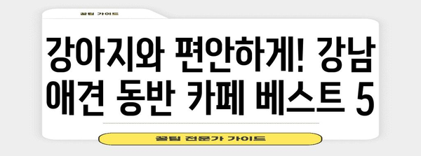 강남 애견 동반 카페 | 강아지와 함께하는 특별한 하루