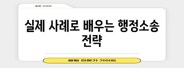 행정소송 절차 완벽 가이드| 핵심 단계별 설명 및 실제 사례 | 행정소송, 행정심판, 소송 절차, 법률 정보