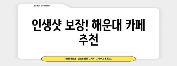 해운대 카페 탐방 | 해변 여행 필수 정보