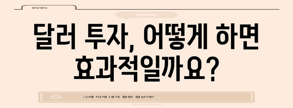 달러 투자 전략 - 예상 시기와 활용 방법