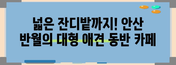 안산 반월의 대형 반려동물 동반 카페 | 애견과 함께 편안한 휴식 시간