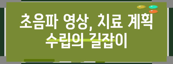 림프암 생존율 향상 | 초음파의 기여