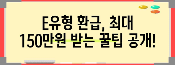 종소세 E유형 | 최대 150만원 환급받는 완벽한 가이드