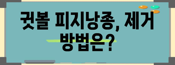 귓볼 피지낭종 제거 | 증상, 방법 및 예방