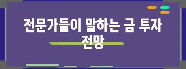 금 가격 상승 전망 | 3,000달러를 돌파할 가능성