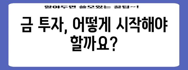 금 투자는 지금이 적기? 전문가가 알려드리는 가이드