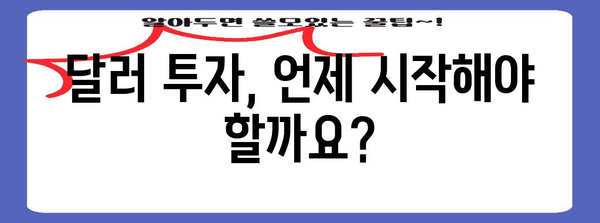 달러 투자 전략 - 예상 시기와 활용 방법