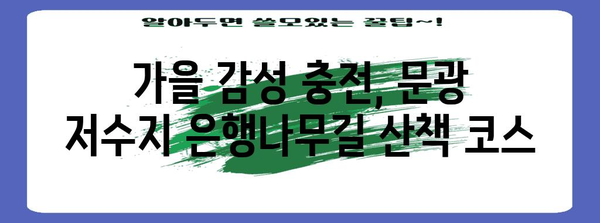 가을 산책 명소 | 문광 저수지 은행나무길