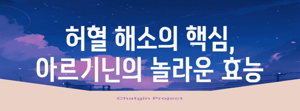 아르기닌으로 허혈 해소 | 심혈관 건강 관리의 혁신적 접근
