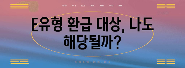 종소세 E유형 | 최대 150만원 환급받는 완벽한 가이드